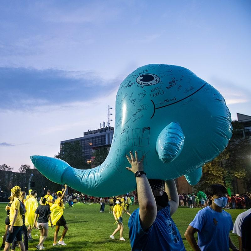 The Carnegie Cup with Donner's blue whale